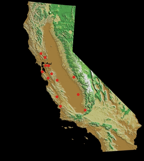 Fresno bear mountain amateur repeater